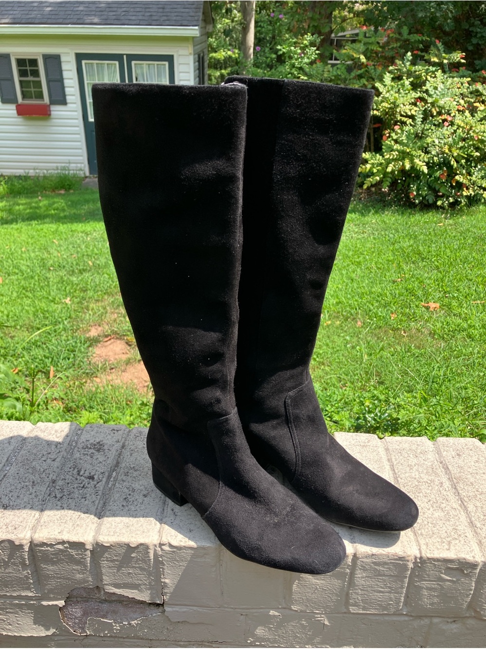 Anne Klein iFlex “Camden” Black Suede Knee-High Boots | Gold Zip  | Size 7.5